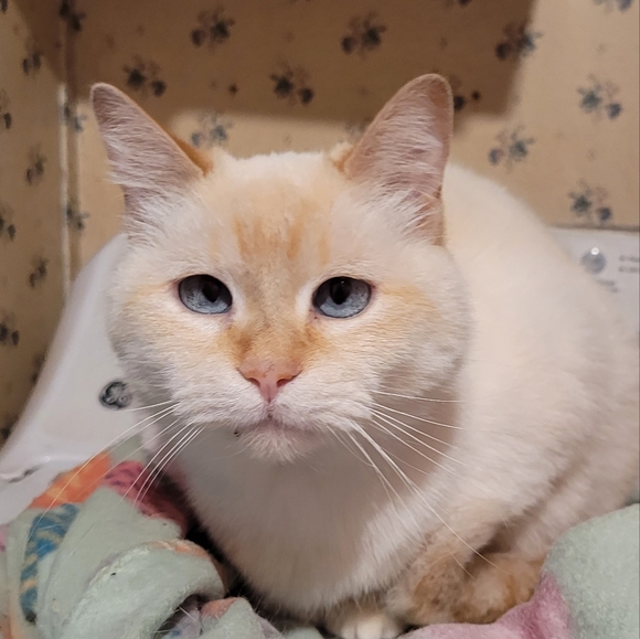 Meet your Posher, Dee - Picture 2 of 2